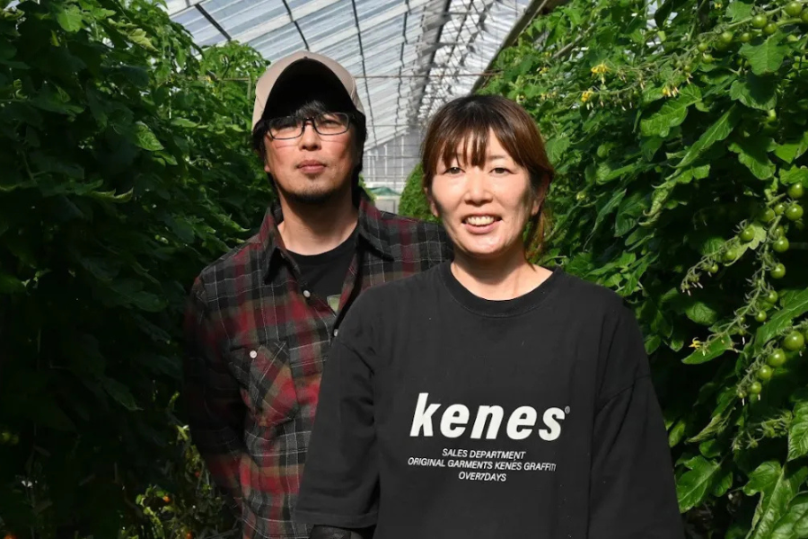 伊豆の国│ミニトマト│篤農家│土の中に宇宙がある
